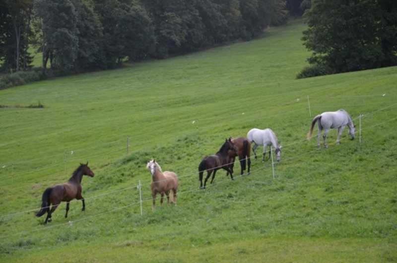 Hof Rossruck Fischbachau